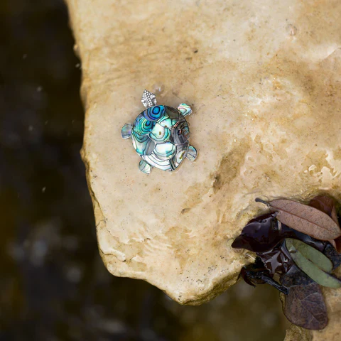 Bali Paua Shell Turtle Pin/Pendant Sterling Silver Necklace - Image 2
